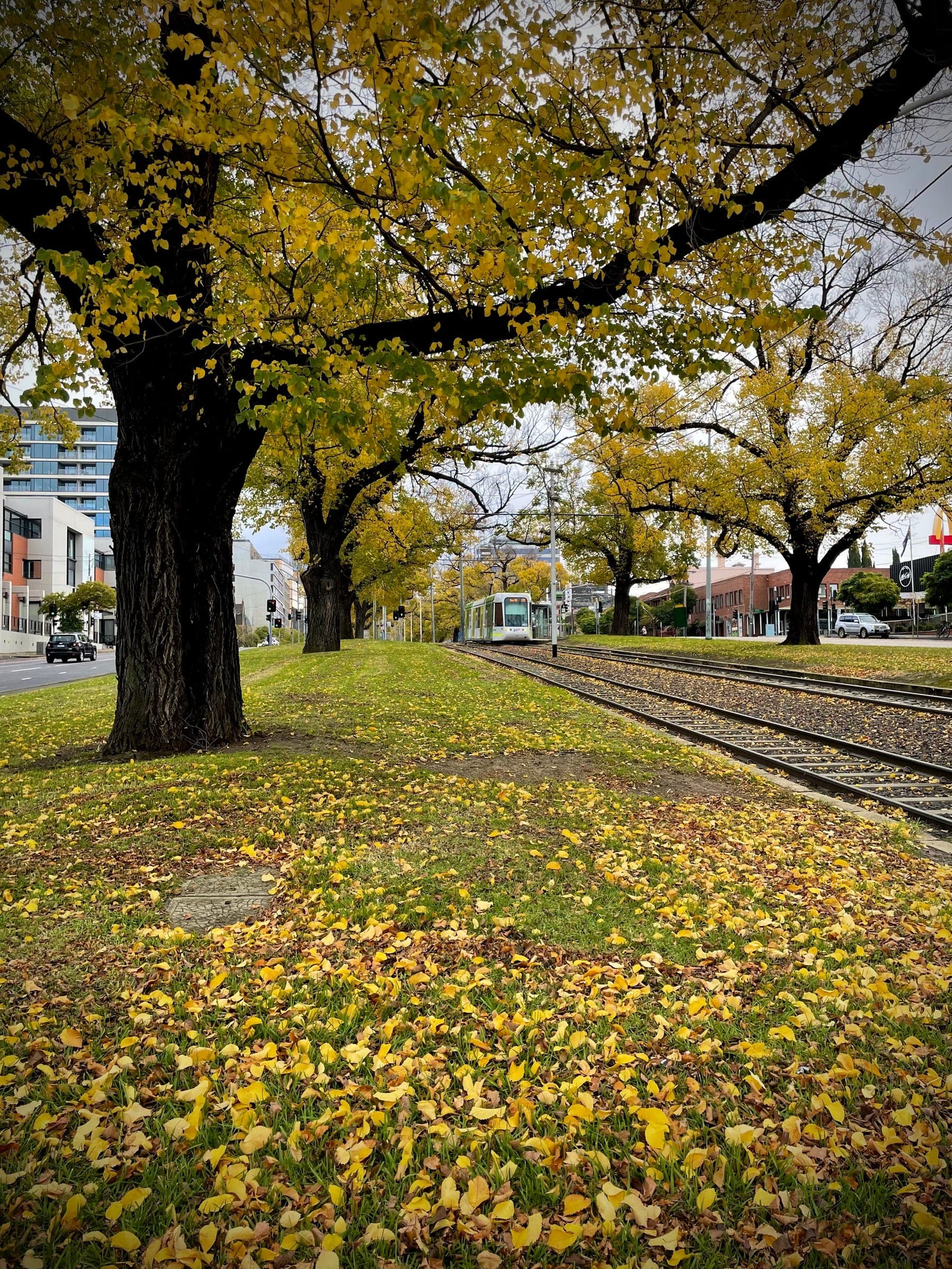 Photograph by Lumerrant